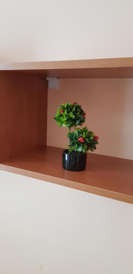 Elit 4 Apartments Słoneczny Brzeg Zewnętrze zdjęcie